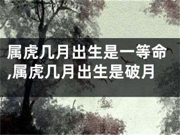 属虎几月出生是一等命,属虎几月出生是破月