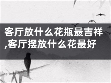 客厅放什么花瓶最吉祥,客厅摆放什么花最好