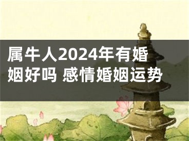属牛人2024年有婚姻好吗 感情婚姻运势