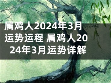 属鸡人2024年3月运势运程 属鸡人2024年3月运势详解