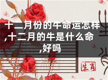 十二月份的牛命运怎样,十二月的牛是什么命,好吗