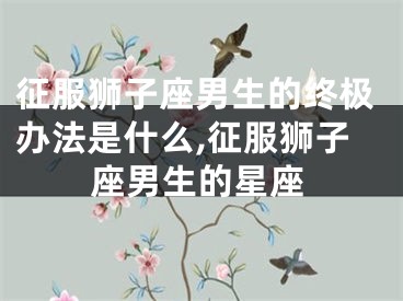 征服狮子座男生的终极办法是什么,征服狮子座男生的星座