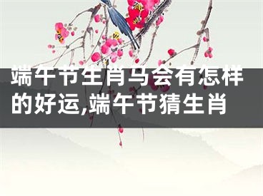 端午节生肖马会有怎样的好运,端午节猜生肖