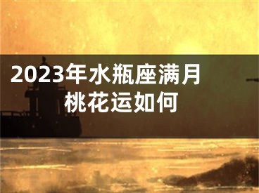 2023年水瓶座满月 桃花运如何