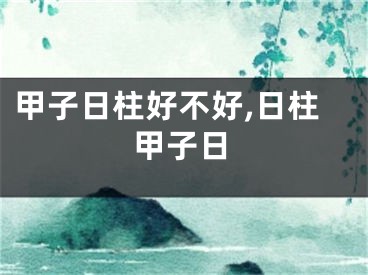 甲子日柱好不好,日柱甲子日