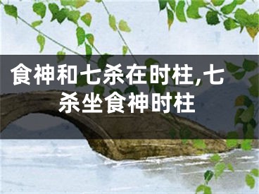 食神和七杀在时柱,七杀坐食神时柱