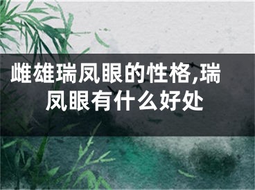 雌雄瑞凤眼的性格,瑞凤眼有什么好处