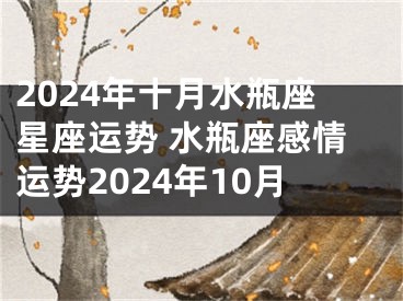 2024年十月水瓶座星座运势 水瓶座感情运势2024年10月