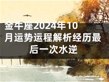 金牛座2024年10月运势运程解析经历最后一次水逆