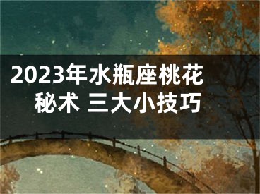 2023年水瓶座桃花秘术 三大小技巧