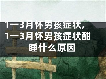 1一3月怀男孩症状,1一3月怀男孩症状酣睡什么原因