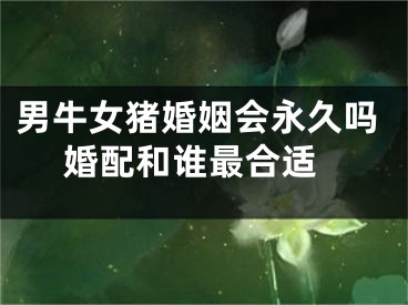 男牛女猪婚姻会永久吗 婚配和谁最合适
