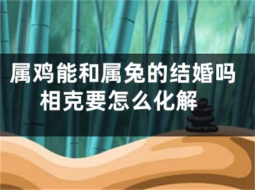 属鸡能和属兔的结婚吗 相克要怎么化解