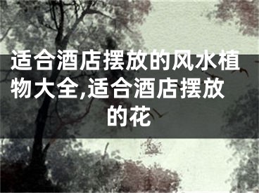适合酒店摆放的风水植物大全,适合酒店摆放的花