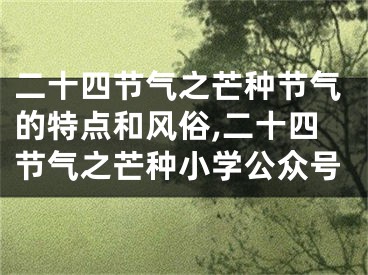 二十四节气之芒种节气的特点和风俗,二十四节气之芒种小学公众号
