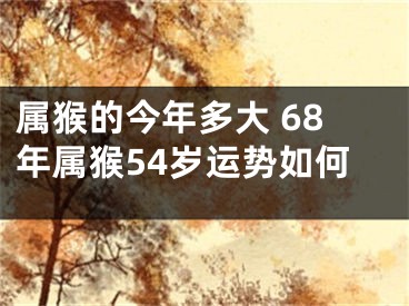 属猴的今年多大 68年属猴54岁运势如何