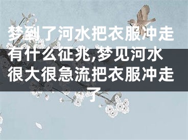 梦到了河水把衣服冲走有什么征兆,梦见河水很大很急流把衣服冲走了