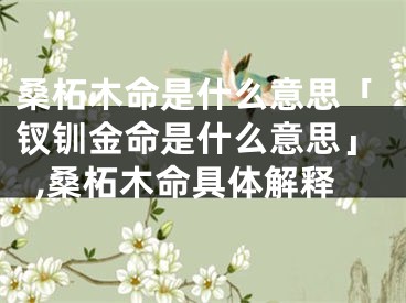 桑柘木命是什么意思「钗钏金命是什么意思」,桑柘木命具体解释