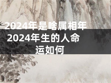 2024年是啥属相年 2024年生的人命运如何 