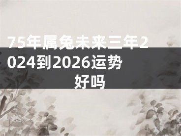 75年属兔未来三年2024到2026运势好吗