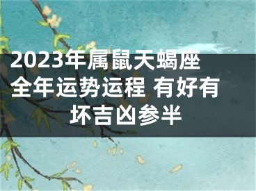 2023年属鼠天蝎座全年运势运程 有好有坏吉凶参半