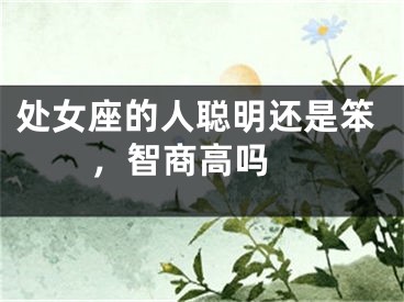 处女座的人聪明还是笨，智商高吗 