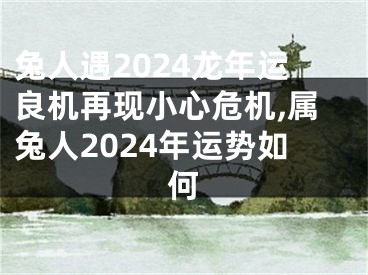 兔人遇2024龙年运良机再现小心危机,属兔人2024年运势如何