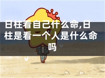 日柱看自己什么命,日柱是看一个人是什么命吗