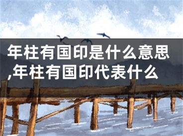 年柱有国印是什么意思,年柱有国印代表什么