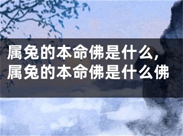 属兔的本命佛是什么,属兔的本命佛是什么佛