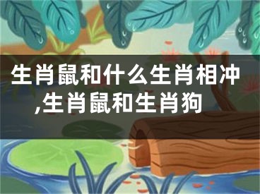 生肖鼠和什么生肖相冲,生肖鼠和生肖狗