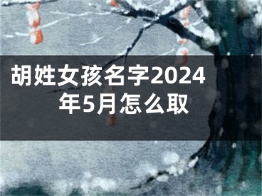 胡姓女孩名字2024年5月怎么取