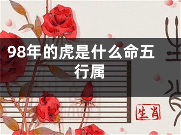 98年的虎是什么命五行属