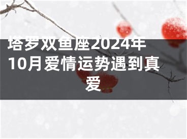 塔罗双鱼座2024年10月爱情运势遇到真爱