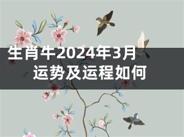 生肖牛2024年3月运势及运程如何