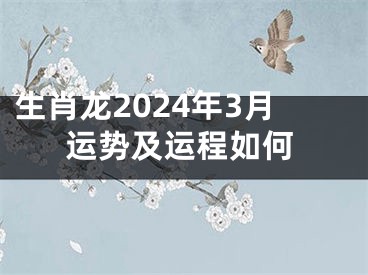 生肖龙2024年3月运势及运程如何