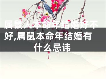 属鼠人本命年结婚好不好,属鼠本命年结婚有什么忌讳