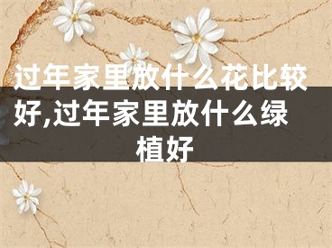 过年家里放什么花比较好,过年家里放什么绿植好