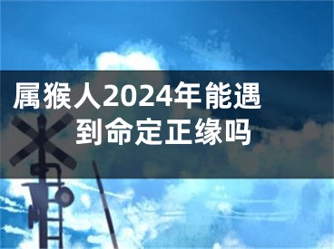 属猴人2024年能遇到命定正缘吗
