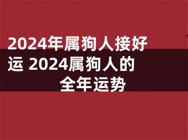 2024年属狗人接好运 2024属狗人的全年运势