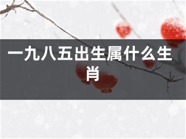一九八五出生属什么生肖