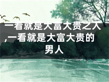 一看就是大富大贵之人,一看就是大富大贵的男人
