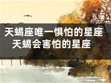 天蝎座唯一惧怕的星座 天蝎会害怕的星座
