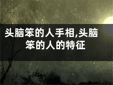 头脑笨的人手相,头脑笨的人的特征