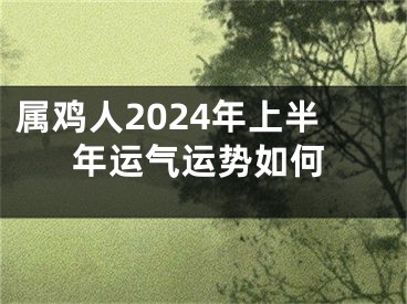 属鸡人2024年上半年运气运势如何