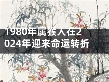 1980年属猴人在2024年迎来命运转折