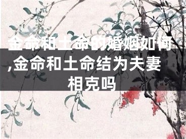 金命和土命的婚姻如何,金命和土命结为夫妻相克吗