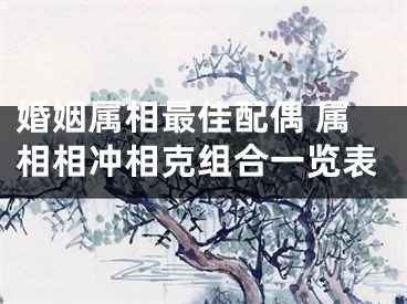 婚姻属相最佳配偶 属相相冲相克组合一览表