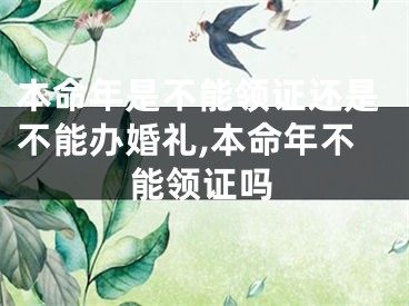 本命年是不能领证还是不能办婚礼,本命年不能领证吗