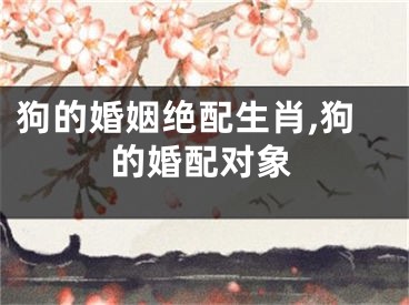 狗的婚姻绝配生肖,狗的婚配对象